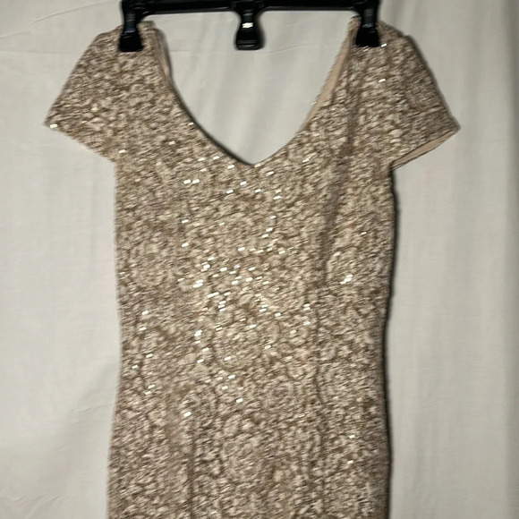 Alex Evenings Women's Long V-Neck Stretch
Sequin Corded Lace Cap Sleeve Dress - Picture 7 of 8